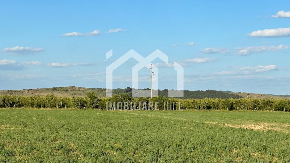 Teren intravilan construcție casă individuală 902 mp - Jucu de Sus - Poză 4