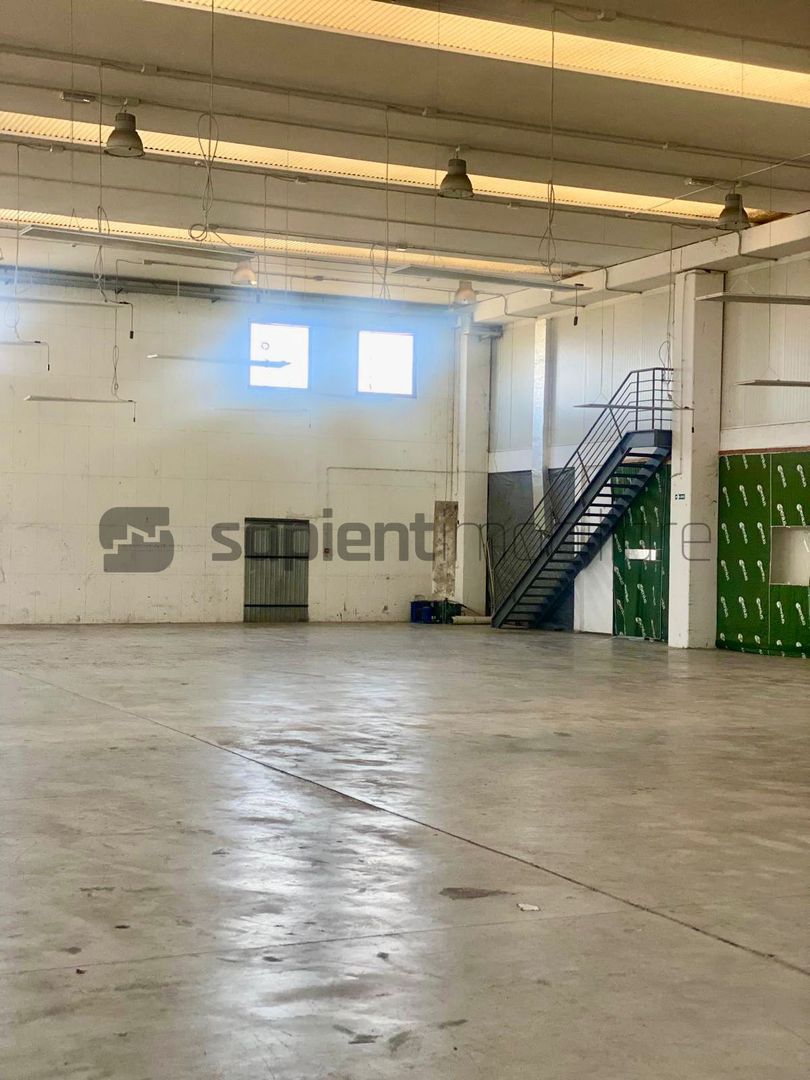 Sapient | Hală situata în com. Borș - Poză 13