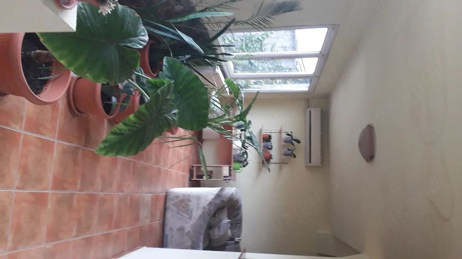 Casă individala cu etaj, având 2 apartamente separate în Timișoara - Poză 1