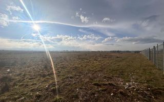 Oferta Limitata! Teren 4000mp V Avrigului 18e/mp - Poză 2