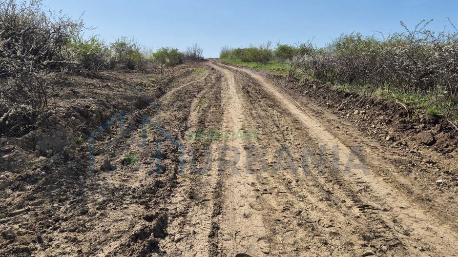 Teren intravilan de vânzare în comuna Tomesti - Poză 5