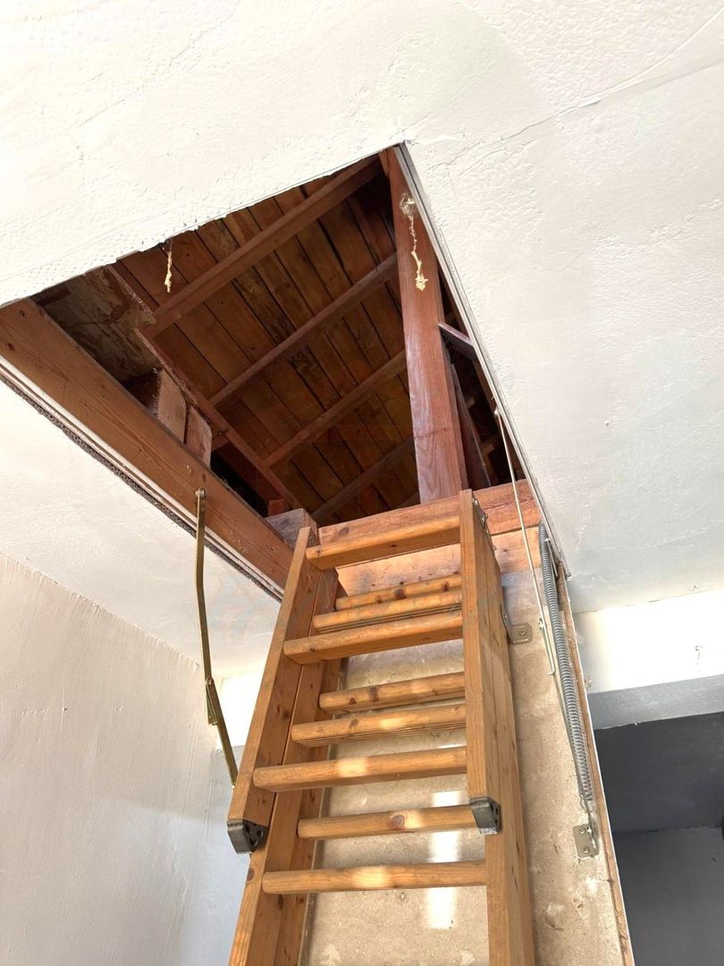 48.000 Euro casa+teren (in concesiune) 804 mp in com Branistea - Poză 4