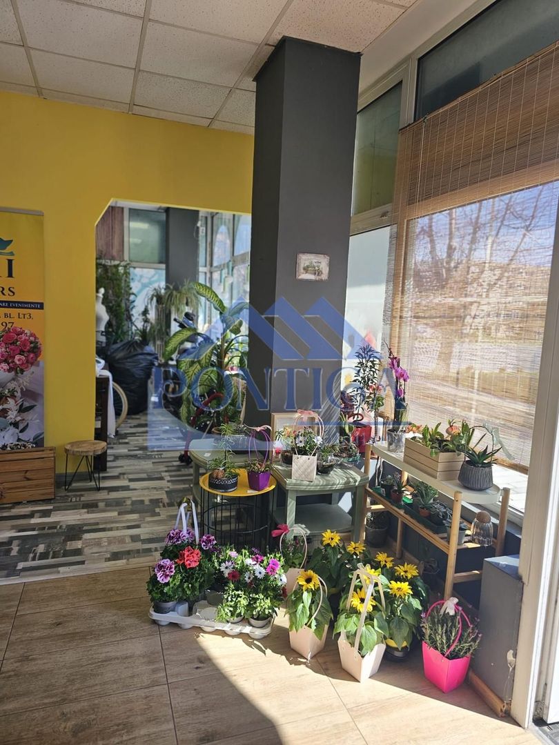 Spatiu Comercial zona Dacia - Poză 6