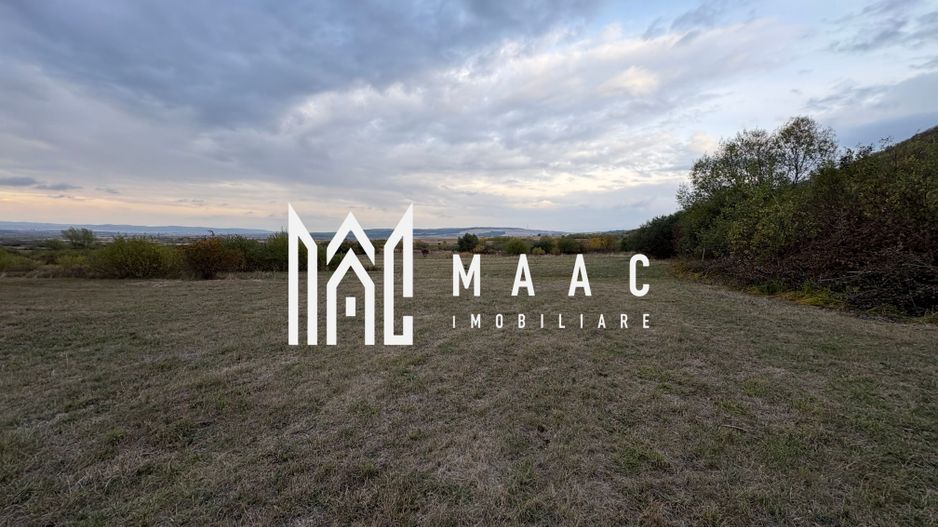 Teren de vânzare 5.000 mp | Poplaca | lângă pădure - Poză 6