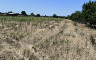 Teren intravilan Biharia 11058 mp - Poză 3