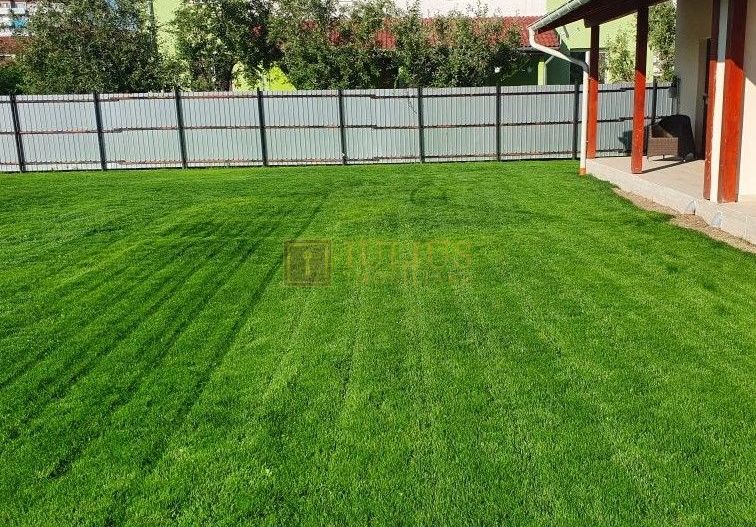 Zona Torontalului- 2 camere, loc de parcare si curte comuna| disponibil 01.10.27 - Poză 14