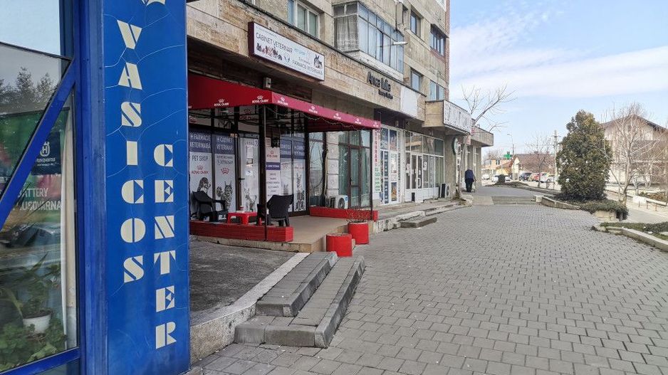 Inchiriere spatiu comercial, stradal, Craiovei - Poză 5