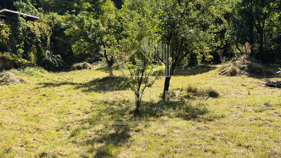 TEREN INTRAVILAN 3234 MP LEREȘTI VOINEȘTI ARGEȘ - Poză 39