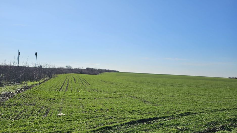 Teren extravilan 8600 mp Livada de Bihor - Poză 3