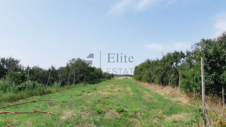 Hala de inchiriat 180 mp +spatii birouri la 20 de minute de Oradea - Poză 11