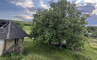 Teren intravilan de 6000 mp in Coarnele Caprei, Valea Babei, cu iesire la strada principala - Poză 4