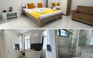 Apartamente de inchiriat zona Tineretului - Parcul Carol - Poză 5