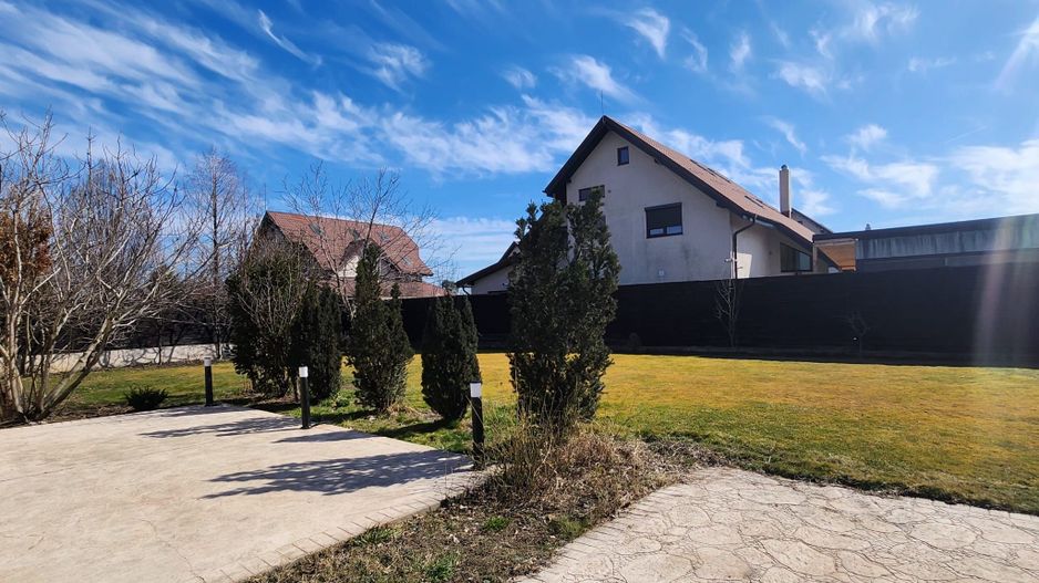 Vila cu piscina Snagov Ciofliceni - Poză 25