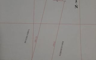 Vand sau schimb cu imobiliare, teren 7400 mp Lipia, Gruiu, Ilfov - Poză 1