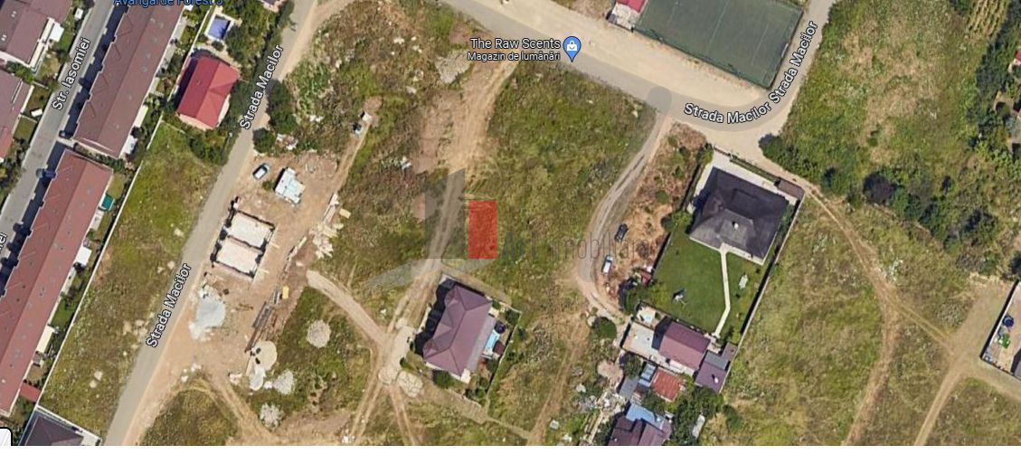 Teren Intravilan  Voluntari Matei Milo - Poză 2