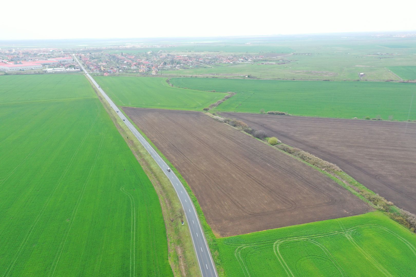 Teren industrial Dudestii Noi - Poză 3