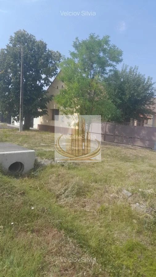 Casă individuală Dudeștii Noi | 2.526 mp teren | Pivniță - Poză 8