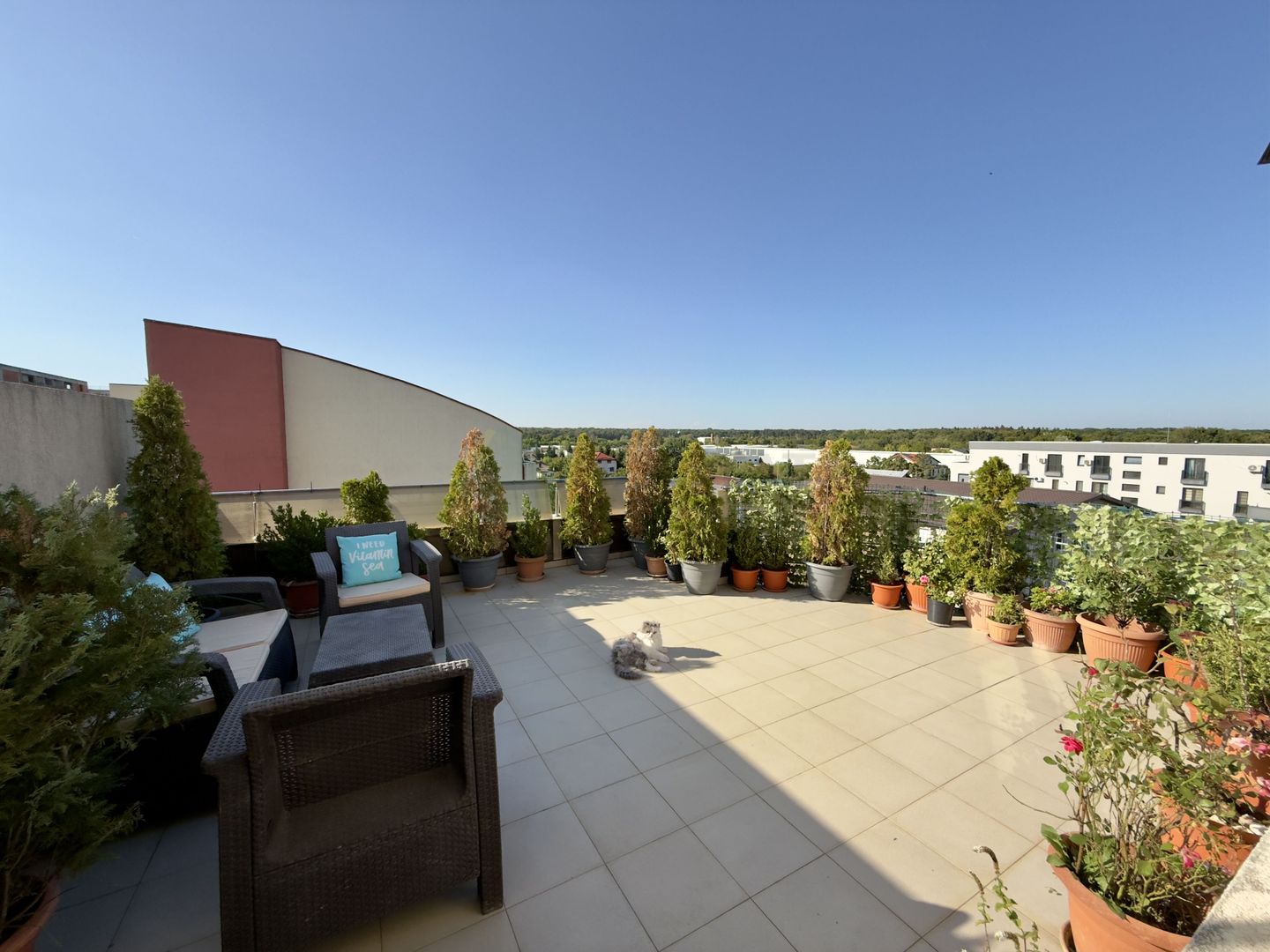 Apartament 3 camere cu terasa de 30 mp | Complet mobilat - Poză 5