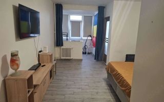 Garsoniera renovata, Berceni, Turnu Magurele/Obregia - Poză 2