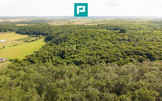 TEREN AGRICOL EXTRAVILAN  22.900 MP LIPOVA - Poză 9