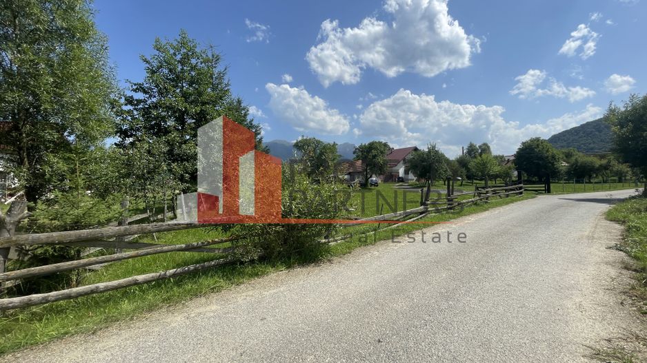 Teren 3779 mp Bran Predelut - Poză 6