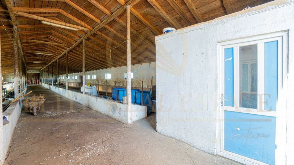 Tariverde - Ferma zootehnica functionala, 3 hectare teren intravilan! - Poză 16