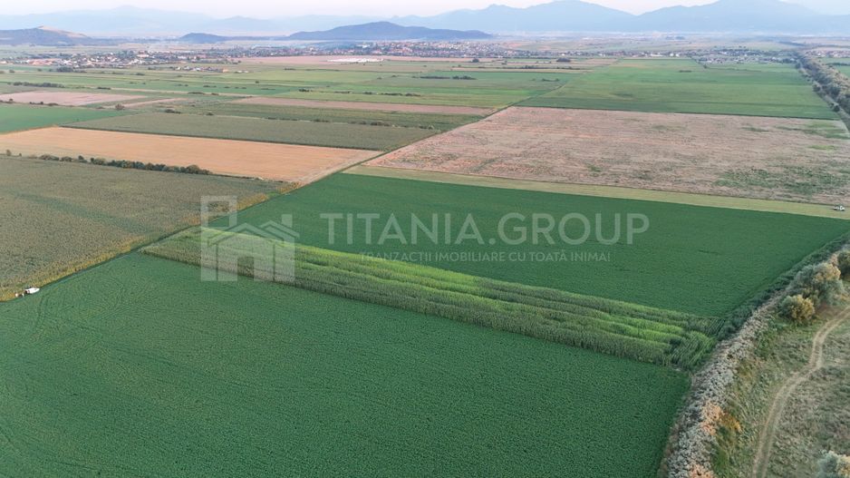 Teren extravilan, 8700 mp, pretabil agricultură sau investiție - Bod - Poză 3