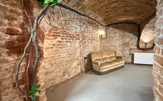 SAD - Spatiu comercial central de 160mp in Arad - ideal: crama, cafenea, magazin - Poză 13