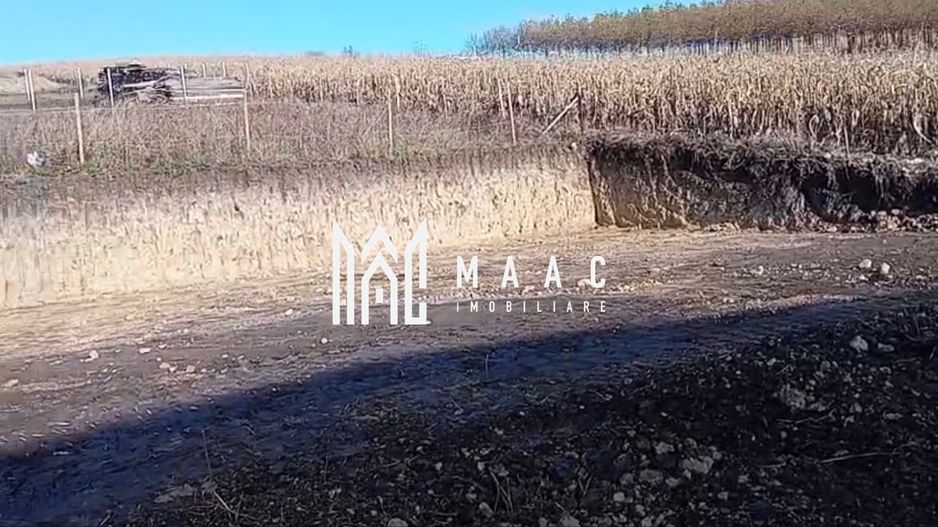 Teren 350 mp I Sura Mare I Autorizatie Casa Parter I Utilități - Poză 4