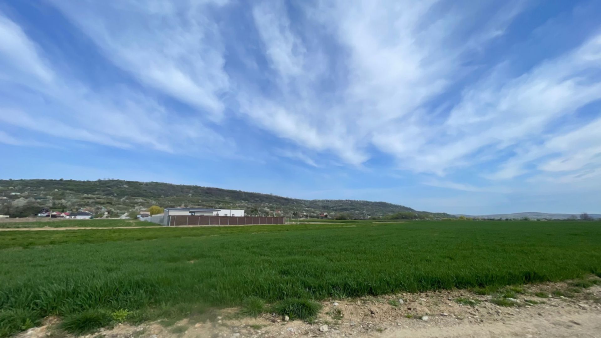 Teren Intravilan Podgoria 1800 mp - Poză 1