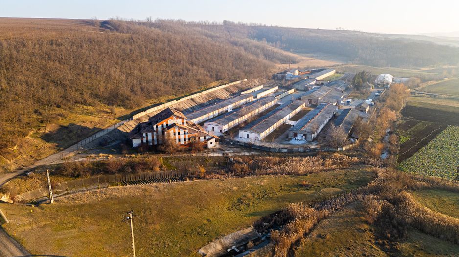 Fosta Ferma a Partidului de la Horgesti - de vanzare - Poză 18