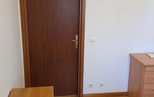 Ap 3 camere Primaverii vedere Herastrau - Poză 12