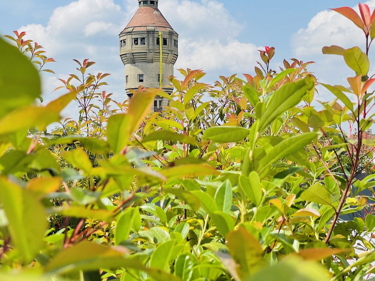 OFERTA VANDUTA - Direct Dezvoltator 0% Comision | Apartament 2 camere 55.8 mp | - Poză 4