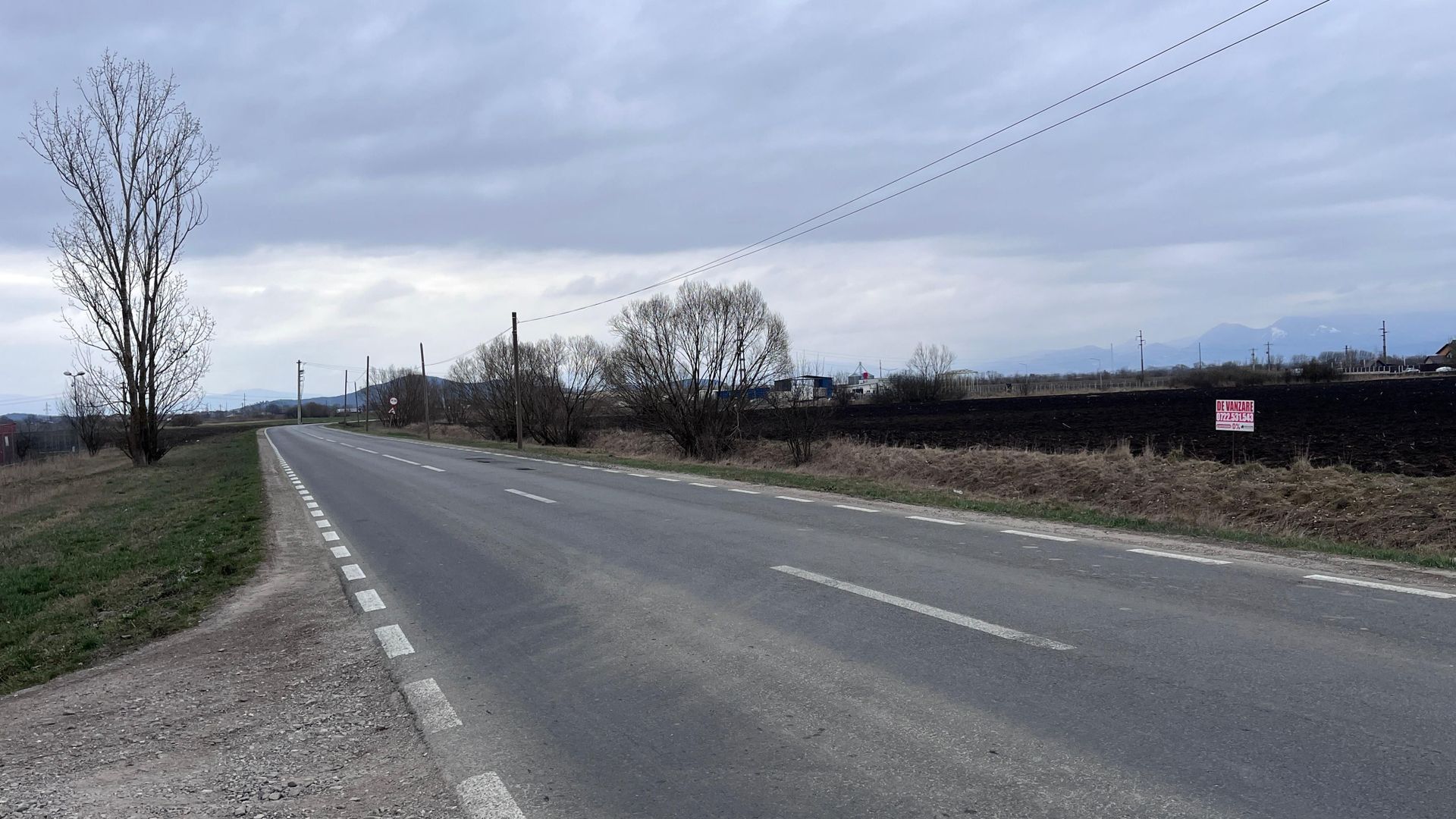 Teren 50000mp Extravilan-Intrare Halchiu-Cod 5235 - Poză 3