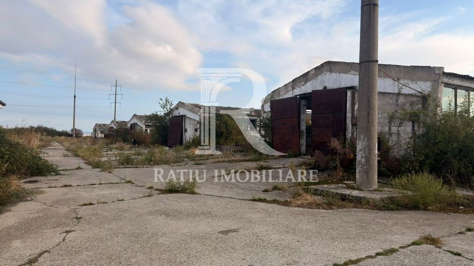 Fermă Sărand | Bihor | 25.659 mp teren intravilan - Poză 6