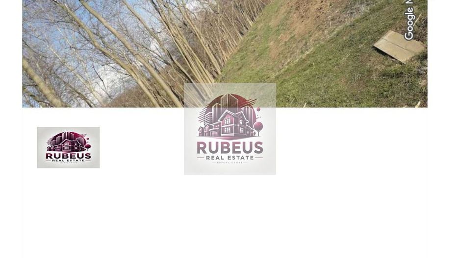 Oportunitate rară! 1 ha pădure Corcova – teren cu potențial real - Poză 3