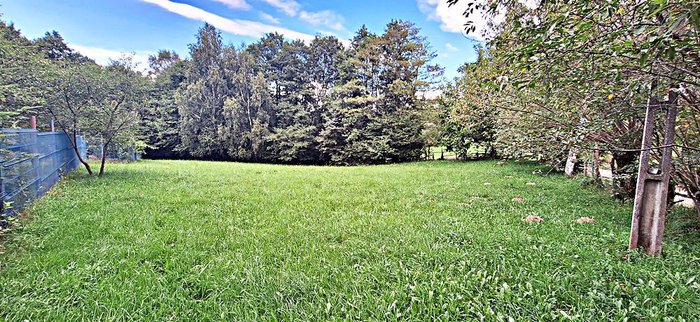 Bran Predelut teren intravilan de 2000mp, pret 27 euro/mp - Poză 14