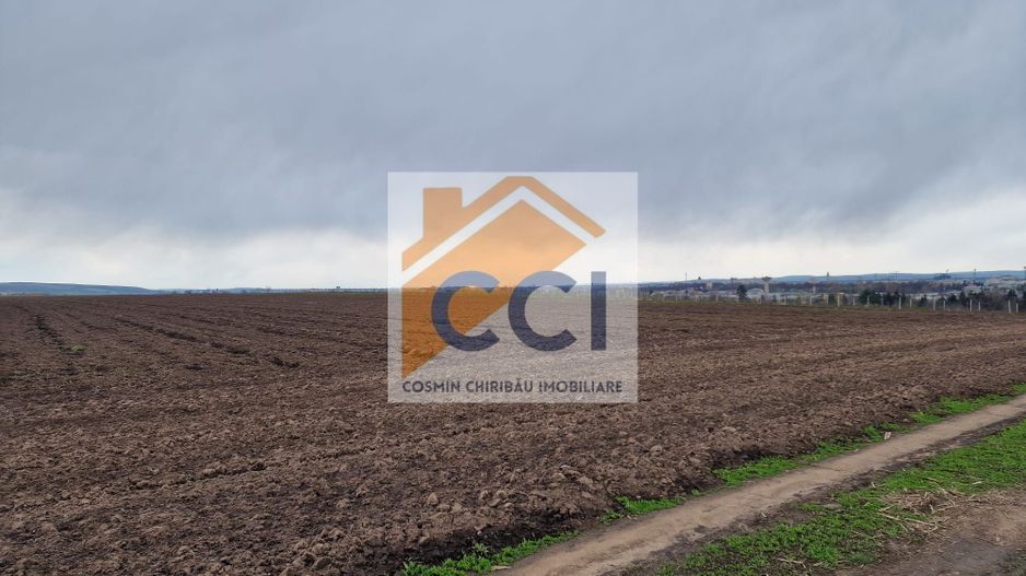 Teren 10,000mp Bacau / Strada Alexandru Safran - Poză 10