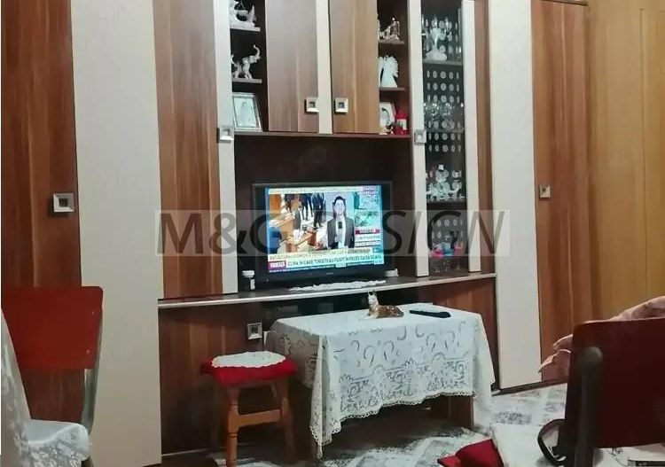 Apartament 1 camera Biziasului - Poză 1