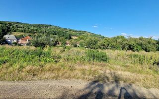 Teren intravilan cu deschidere la șoseaua principală -59 ari-Ilba! - Poză 7