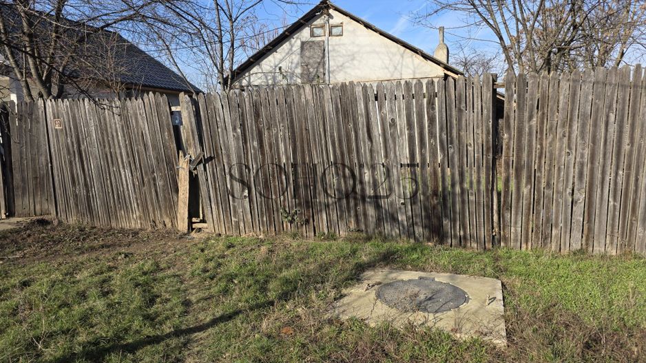 Teren lângă București 6000mp - Poză 3