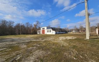 Vanzare amplasament industrial-servicii Tatarasti, Teleorman - Poză 18