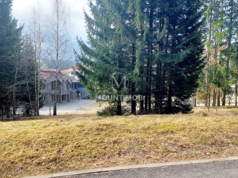 Teren intravilan în Poiana Brașov 1404 mp, str. Poiana Ruia - Poză 3