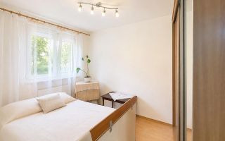 Decomandat, parter, 2 camere, Rovinari, Targu Mures - Poză 3