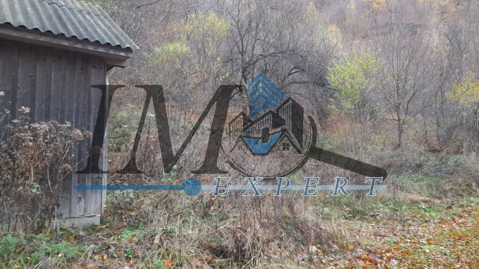 Teren extravilan direct la șoseaua TRANSALPINA - Poză 4