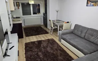 Ap 2 camere, mobilat utilat – Pallady, 10 minute  metrou Teclu - Poză 11