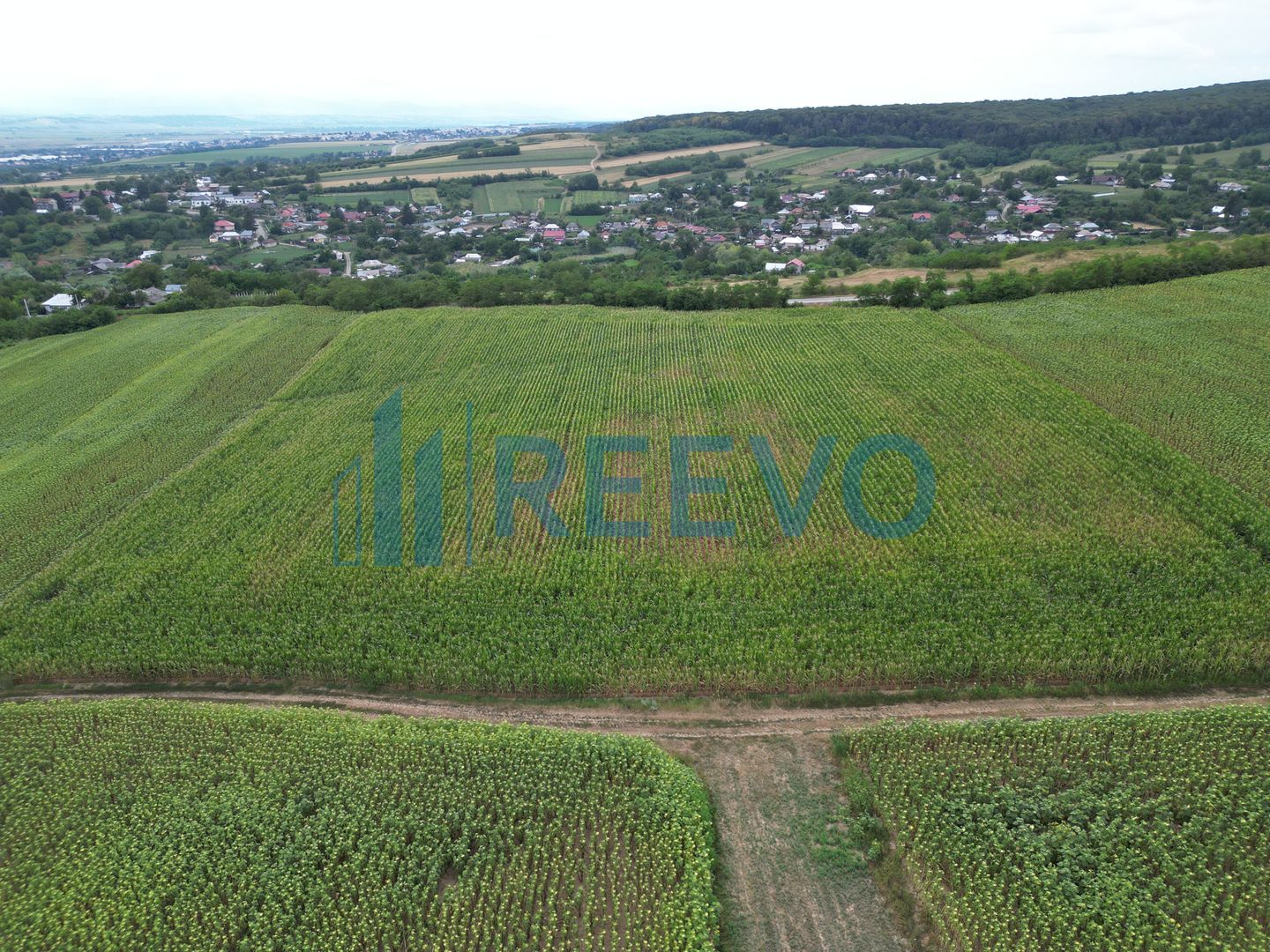 Teren de 3.600 mp Racova - Poză 4