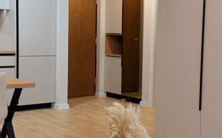 Apartament ultramodern / etaj intermediar / Zona Eroilor - Poză 11
