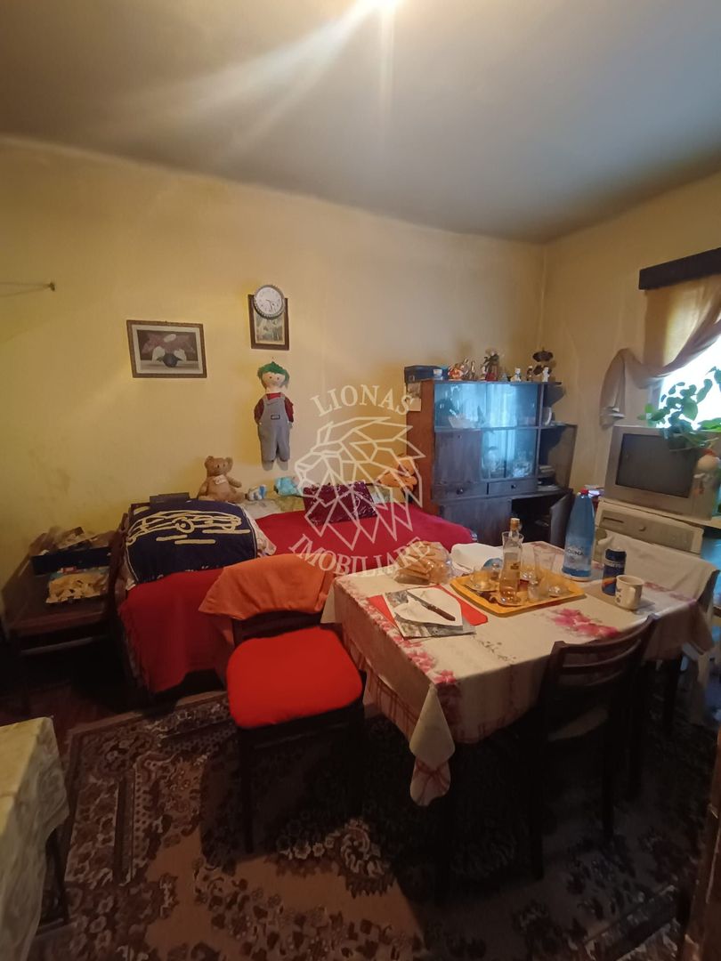 Apartament 5 camere cu teren 266 mp, nivel parter - zona Eroilor - Poză 6