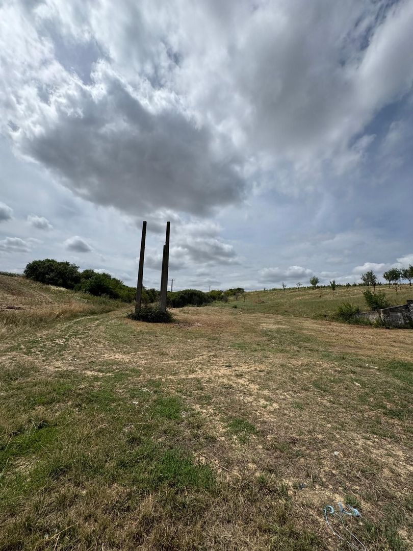 Teren Extravilan Biharia - Poză 3